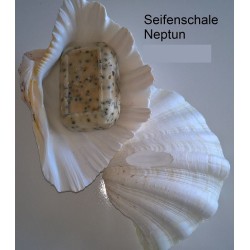 Seifenschale Muschel