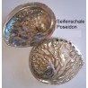 Seifenschale Muschel